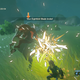 Image for article titled Tips For Playing The Legend of Zelda: Breath of the Wild